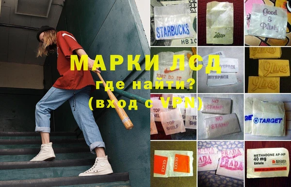 ГАЛЛЮЦИНОГЕННЫЕ ГРИБЫ Абдулино